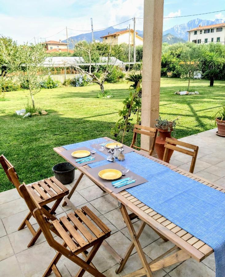 Agriturismo La Vite Maritata Pietrasanta Exterior foto