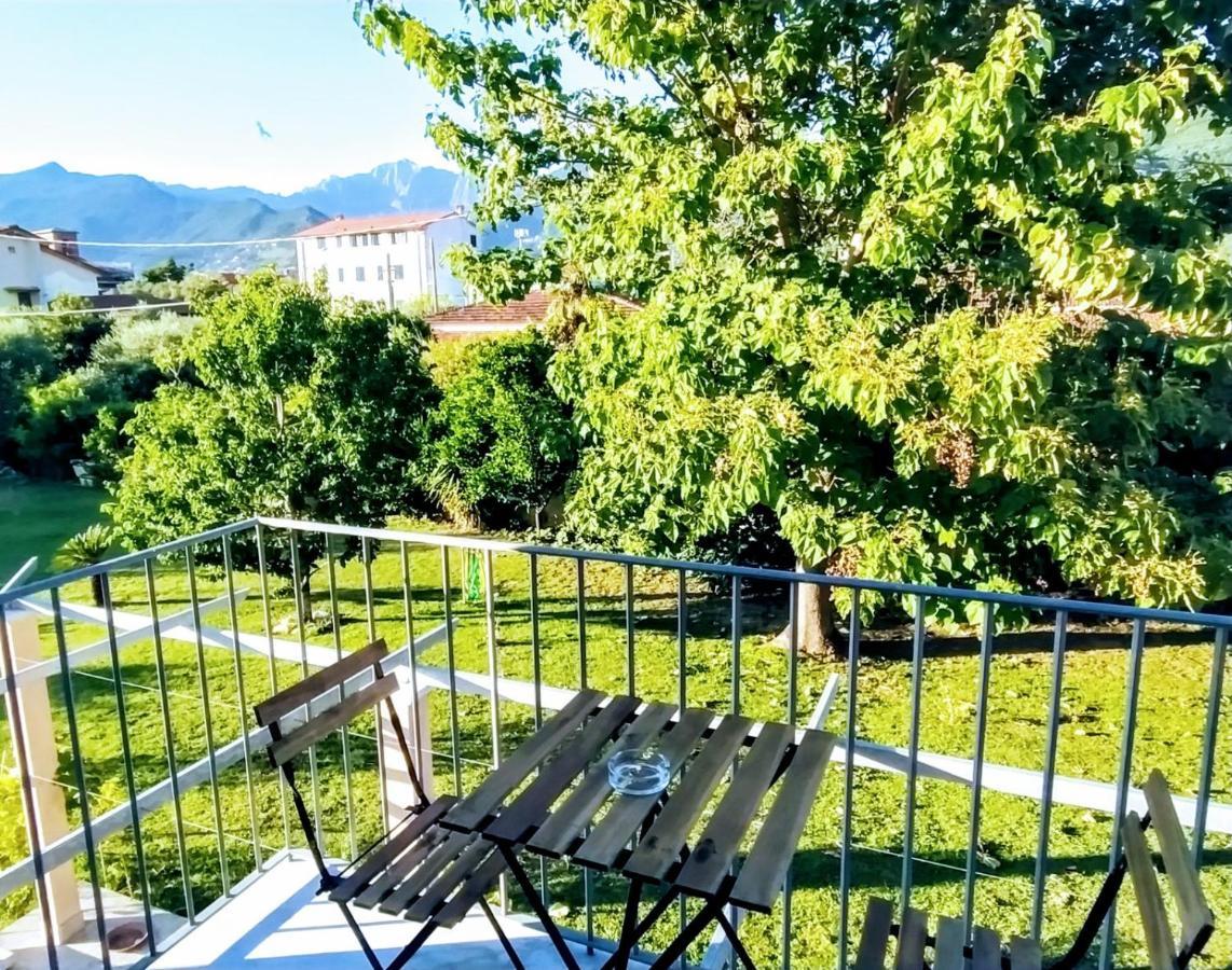 Agriturismo La Vite Maritata Pietrasanta Exterior foto